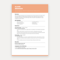 Professional CV, Cover Letter & LinkedIn